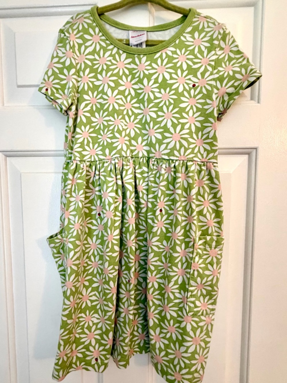 Hanna Andersson Green Daisy Dress with Pink Centers